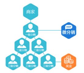 脂老虎下單系統(tǒng)開發(fā)案例解析 重慶軟件開發(fā)的創(chuàng)新實踐